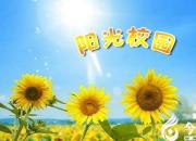 【今日朝陽網(wǎng)】??！陽光校園（劉釗娜）