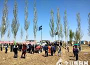 驚喜：傳承千百年的種地模式被深度顛覆！（瑞雪 褚駒 ）