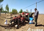 點贊：這項惠農(nóng)行動正在穩(wěn)健推進（褚駒）