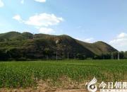 李老漢的心里為啥喜滋滋的？（瑞雪）