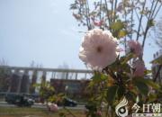 我的愛(ài)恨情愁（張昕）