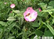 春天，這里真是一幅明媚的畫兒呀?。◤?jiān)婍担?></a>
            <div   id=