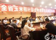 省市同心：共同推進玉米秸稈綜合利用農(nóng)機化技術(shù)（瑞雪）