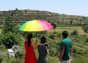 【今日朝陽網(wǎng)】親愛的吃貨們：北票杏府山莊進(jìn)入新一輪采摘季?。ㄚw威）