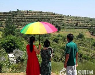 【今日朝陽網(wǎng)】親愛的吃貨們：北票杏府山莊進(jìn)入新一輪采摘季！（趙威）