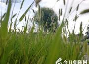 這四個(gè)孩子太皮了?。ㄍ斛Q然）