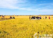 【舊文新曬】夢里夢外（王中原）