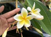 二哥，我替你驕傲地說，這世界你曾來過（丁方圓）