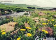 【今日朝陽(yáng)網(wǎng)】王中原酒令第二款