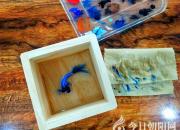 看過它，才知道什么叫栩栩如生（丁方圓）