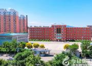 開展精準校本研訓(xùn)，打造教師成長梯隊（郭淑芳）