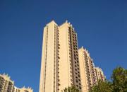 【今日朝陽(yáng)網(wǎng)】芝麻開(kāi)花節(jié)節(jié)高（王中原）