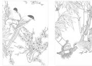 【今日朝陽(yáng)網(wǎng)】王中原酒令第七款