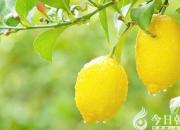 【今日朝陽(yáng)網(wǎng)】加湯王國(guó)的顏色策略（王中原）