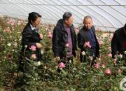 以花為媒，開啟校企合作新篇章（劉忠智）