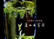 【今日朝陽網(wǎng)】茶之為飲（周艷麗）