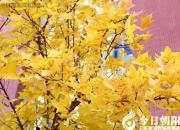 聞過則喜，從善如流（王中原）