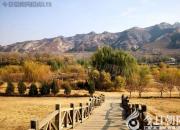 王中原繞口令第397則——借書還書（王中原）