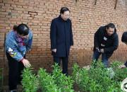 名師在行動，助力鄉(xiāng)村振興（陳桂華）