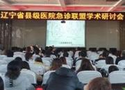 專家齊聚凌源市中心醫(yī)院,共話縣級醫(yī)院急診事業(yè)新發(fā)展（李蔚藍(lán) 趙海霞）