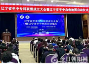 喜訊！凌源市中心醫(yī)院成為“遼寧省卒中急救地圖”首批定點醫(yī)院（趙海霞 李蔚藍(lán)）