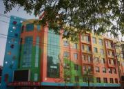 健康、快樂(lè)、發(fā)展——園本課程浸潤(rùn)美好童年（王海燕）