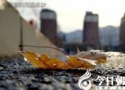 【今日朝陽(yáng)網(wǎng)】水滸情仇錄（八十七）（辛生幟匯）