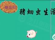 【養(yǎng)殖】豬蛔蟲(chóng)生活史｜公益課（孔佳音）