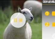 【養(yǎng)殖】飼料的分類｜公益課（馮會(huì)中）