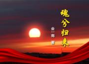 《魂兮歸來(lái)》016（金一南）