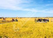 “中央公園杯·我與祖國(guó)同行”文化精品有獎(jiǎng)?wù)骷顒?dòng)啟事