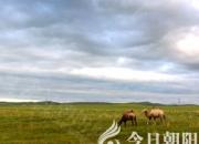 【今日朝陽(yáng)網(wǎng)】趿？拖？（吳歌）