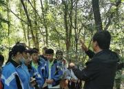走進森林 親近自然
