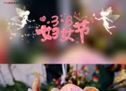 今日朝陽(yáng)網(wǎng)祝所有女性朋友們節(jié)日快樂(lè)！