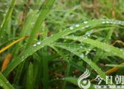 王中原繞口令《倆富戶》外一則（王中原）