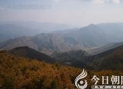 獸態(tài)百姿——雪豹(詩(shī)/陳玉民)