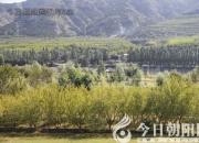 獸態(tài)百姿——棕熊（詩(shī)/陳玉民）