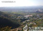 獸態(tài)百姿——鬣狗（詩(shī)/陳玉民）