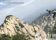 獸態(tài)百姿——狍子（詩(shī)/陳玉民）