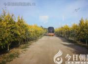 王中原繞口令第516則——榨汁機(jī)（王中原）