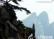 獸態(tài)百姿——長(zhǎng)臂猿（詩(shī)/陳玉民）