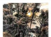 【畫意詩(shī)情·每周詩(shī)畫】賞《閑情逸致》（李剛 陳玉民）