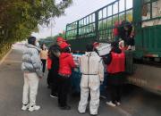 致敬堅守防疫一線的社區(qū)工作者