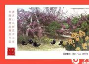 【畫意詩(shī)情·每周詩(shī)畫】賞《似錦繁華》（李剛 陳玉民）