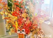 今日朝陽網(wǎng)祝廣大網(wǎng)友新年快樂、幸福安康！