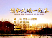 請和天鵝一起來