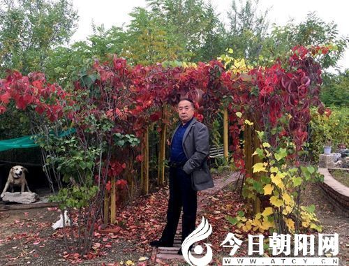 點(diǎn)擊查看大圖