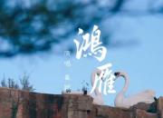 崔穎演唱歌曲《鴻雁》，獻(xiàn)給朝陽·北票首屆天鵝節(jié)