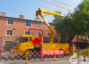 國(guó)網(wǎng)朝陽(yáng)供電公司開(kāi)展首次聯(lián)合帶電修剪樹(shù)木作業(yè)