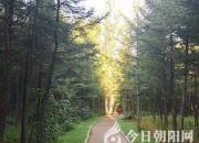 約會(huì)清晨（鐘心悅 張美玉）